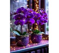 Puzzle 500 Piezas Orquídea Phalaenopsis Morada, 52x38 cm, Juego Educativo, Reto Creativo, Rompecabezas Imposible, Puzzles 500 Piezas Adultos