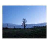 Puzzle 500 Piezas para Adultos y Niños Mayores - -Árboles,Luna,Cielo,Crepúsculo,Paisaje 52x38cm