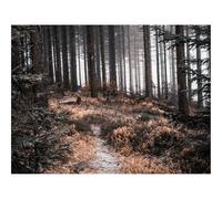 Puzzle 500 Piezas para Adultos y Niños Mayores - -bosques,Camino,árboles 52x38cm