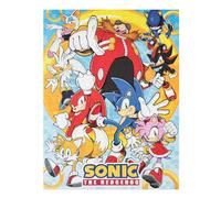 Puzzle 500 Piezas Sonic The Hedgehog - Puzzle Sonic con Caja - Rompecabezas 61x45,7 cm | Decoracion Gamer Ideal para habitacion Gamer