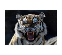 Puzzle 5000 Piezas Adultos Tigre Puzzle para Adultos Animales Rompecabezas Juguetes Educativos Regalos Originales para Mujer Rompecabezas Entretenimiento Creativo Clásico Familia Juego 156x105cm D-93
