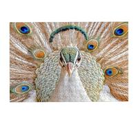 Puzzle 5000 Piezas Animal, Puzzle Madera Pavo Real, Clásico Rompecabezas Desafiante para Toda la Familia, Juguetes Rompecabezas Letras en la Parte Posterior, Regalos Originales para Hombre -1615