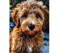 Puzzle 520 Piezas, Lindo Perro Mascota Puzzles para Adultos,Rompecabezas de Adultos, Juguetes de Regalo Entretenimento Puzzle, Juego de Rompecabezas
