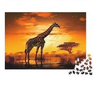 Puzzle 52x38cm/1000pcs Pour Adultes Coucher de Soleil Avec Des girafes en Safari,pour Femmes Et Hommes,Planche En Bois,verrouillage De Précision Faune africaine Art