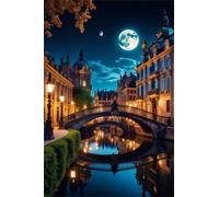 Puzzle 60 Piezas,Río del Puente de la Ciudad Puzzles para Adultos,Rompecabezas de Adultos,Juguetes de Regalo Entretenimento Puzzle,Juego de Rompecabezas