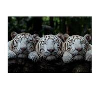Puzzle 6000 Piezas Animales Puzzles Tigre Medidas 179x105cm Rompecabezas para Adultos Entretenimiento Creativo, Divertido Clásico Rompecabezas Juguetes Educativos Regalos Originales para Mujer D-30