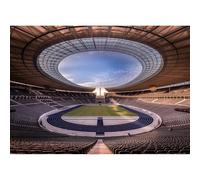 Puzzle Adulto 200(35x25cm) piezas, Estadio Olímpico de Fútbol de la Ciudad de Berlín, Alemania, Regalo de Juguete de Puzzle Juego de Juventud