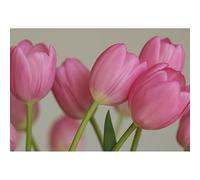 Puzzle Adulto 5000 Piezas(181x105.5cm), Tulipanes rosados florecientes Puzzle vegetal, Juego Antiestrés Educativo Adulto