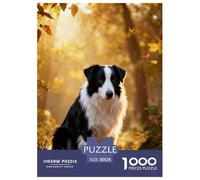 Puzzle Border Collie 1000 Piezas - para Adultos Y Niños Rompecabezas De Bosque, Juego Desafiante, Arte Decorativo, Regalo para Hombre 38x26cm/1000pcs