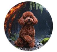 Puzzle Caniche 1000 Piezas - para Adultos Y Niños Puzzles De Túnel Roca, Juego Educativo Y Juego Familiar Decorativo, 1000pcs (67.5x67.5cm)