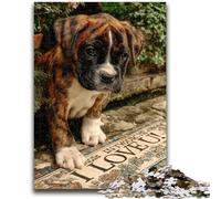 Puzzle de 1000 Piezas para Adolescentes Cachorro Junto a la Ventana, desafiante Pero Divertido y Divertido, Regalo de cumpleaños, Arte Mural, 38x26cm