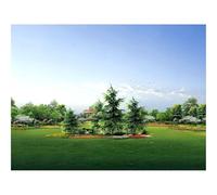 Puzzle de 1500 Piezas, Juego de Habilidad para Toda la Familia-Abetos,Parque,jardín 87x57cm