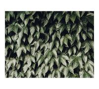 Puzzle de 1500 Piezas, Juego de Habilidad para Toda la Familia-Follaje,Hojas,arbustos 87x57cm