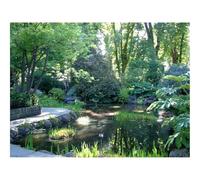 Puzzle de 1500 Piezas, Juego de Habilidad para Toda la Familia-Jardín,Estanque,árboles,Sombras,luz,Agua 87x57cm