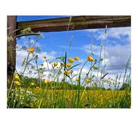 Puzzle de 1500 Piezas para Adultos -Valla,Flores,Campo 87x57cm