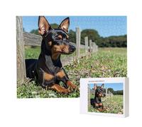 Puzzle de 2000 Piezas Puzzle Adultos 100x70cm Juego Educativo Regalos Rompecabezas para Adultos y niños a Partir de 14 Años, Regalo Creativo para la Relajación - (Perro de Hierba) t-80