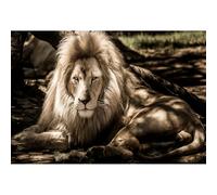 Puzzle de 4000 piezas para adultos, rompecabezas de leones africanos del Parque Nacional del Serengeti, juego familiar educativo, juguete y regalo para adolescentes