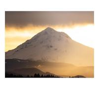 Puzzle de 500 Piezas, Juego de Habilidad para Toda la Familia-Montaña,Pico,bosques,árboles,Nieve,Paisaje 52x38cm