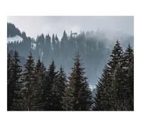 Puzzle de 500 Piezas para Adultos -bosques,árboles,pinos,Niebla,Naturaleza 52x38cm
