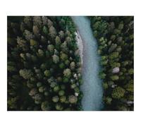 Puzzle de 500 Piezas para Adultos -Río,Vista aérea,sinuoso,árboles,bosques 52x38cm