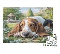 Puzzle de Cartón Reciclado de 1000Pz Cute Pet Dog: Basset Hound Durmiendo la Siesta al Aire Libre para Adultos de 14 a 99 Años Decoración del Hogar y Regalo 70x50cm/1000pcs