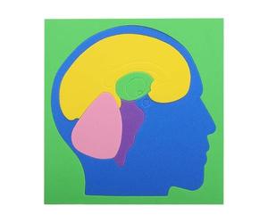 Puzzle de Cuerpo Humano para niños - Juego Educativo de Cerebro de eva, de Bricolaje Modelo anatómico, para el hogar, Escuela, Interior, guardería, Viajes, niñas, Adolescentes,