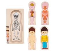 Puzzle de estructura del cuerpo humano - rompecabezas de anatomía educativa | juguete modelo esqueleto y órgano | Kit de aprendizaje STEM para identificar piezas para niños en edad preescolar y