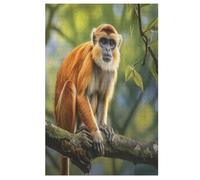 Puzzle de madera, 1000 piezas, puzles de mono para adultos y niños, lo mejor para la colección de juegos familiares (78 x 53 cm)