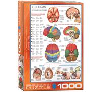 Puzzle De Pieza 1000 Piezas Brain Por Eurographics 680mm x 490mm (PZ)