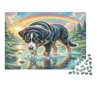 Puzzle Desafiante de 1000Pz Bernese Mountain Dog: Perro en Agua Arcoíris para Adultos Adolescentes y Mayores Juego Estimulante 52x38cm/1000pcs