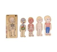 Puzzle educativo anatomía femenina