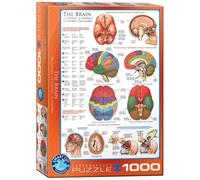 Puzzle - El Cerebro - 1000 Piezas