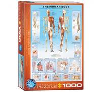 Puzzle - El Cuerpo Humano - 1000 Piezas