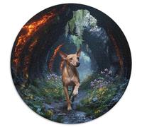 Puzzle Galgo Italiano 1000 Piezas - para Adultos Y Niños Puzzles De Túnel Roca, Juego Educativo Y Divertido Decorativo, Regalo Ideal 1000pcs (67.5x67.5cm)
