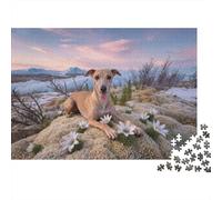 Puzzle Galgo Italiano 1000 Piezas - para Adultos Y Niños Puzzles, Desafío Mental, Diversión Y Aprendizaje Arte Decorativo, 70x50cm/1000pcs