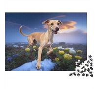 Puzzle Galgo Italiano 1000 Piezas - para Adultos Y Niños Puzzles, Divertido, Desafiante E Instructivo Arte Decorativo, 70x50cm/1000pcs