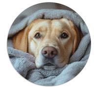 Puzzle Golden Retriever 1000 piezas redondo envuelto en cubierta rompecabezas difíciles para adultos juegos y regalos 1000 piezas (67,5x67,5 cm)