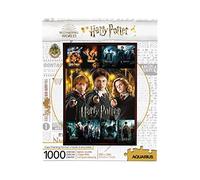 Aquarius- Harry Potter Movies 1000 pc Puzzle, Multicolor, Talla única (NMR Distribution 65384)