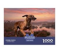 Puzzle Lebrel Italiano 1000 Piezas - para Adultos Puzzles De Humedal, Juego para Toda La Familia Arte Decorativo, Regalo Ideal 70x50cm/1000pcs