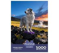 Puzzle Old English Sheepdog 1000 Piezas - para Adultos Puzzles De Pradera de Aguas Termales, Juego Familiar, Decorativo, Regalo Ideal 52x38cm/1000pcs