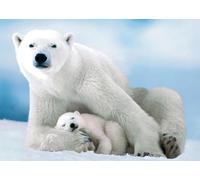 Puzzle para adultos, 1000 piezas, oso polar y bebé, 70 x 50 cm, rompecabezas para adultos, juego educativo, desafío, 1000 piezas, rompecabezas para adultos y niños