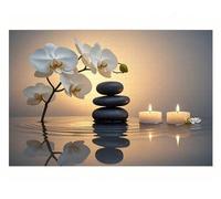 Puzzle para Adultos 300 Piezas,Vela de Piedra de orquídea 38x26 cm,Rompecabezas para Adulto Juguete Educativo, Juego Educativo Desafío,300 Piezas Rompecabezas para Adultos