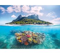 Ravensburger Puzzle para adultos Isla y Coral 500 piezas