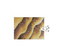 Puzzle Printworks Bee 21,5x21,5x4 cm
