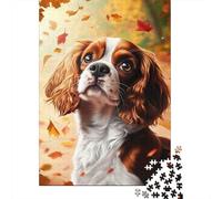 Puzzle Retrato de Perro de otoño De 1000 Piezas animaleses Rompecabezas Hombres Y Mujeres De 1000 Piezas Decoracion Regalo 52x38cm/1000pcs