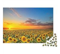 Puzzle Rompecabezas Campo Girasol del Atardecer Hermoso Paisaje 1000 Piezas - Adultos, Desafiante, Decoración del Hogar, Regalo 52x38cm/1000pcs
