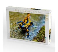 Puzzle · Salamandra de Fuego m Resina | 1000 piezas en las islas de Ilsenburg · Tamaño de la colocación 64 × 48 cm · Puzzle CALVENDO
