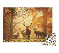 Puzzle Scène de cerf d'automne-Forest Faune Photography Pour Adultes,70x50cm/1000pcs,jeu Éducatif,décoration De La Maison,