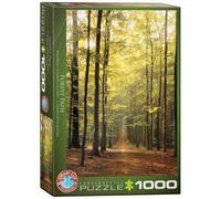 Puzzle - Sendero Del Bosque - 1000 Piezas