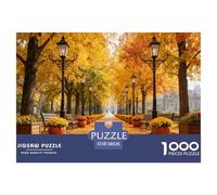 Puzzle Sendero del Jardín de Otoño De 1000 Piezas Interesante Rompecabezas Hombres Y Mujeres De 1000 Piezas Juego Entretenimento 38x26cm/1000pcs